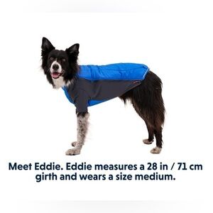 Ruffwear Powder Hound Jacket